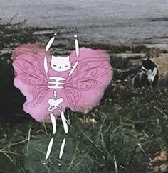 a pink kite with a skeleton on it is in the grass next to a black and white cat