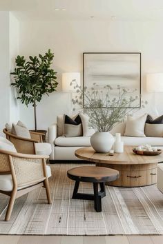 a living room filled with furniture and a potted plant on top of a table