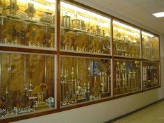 a large display case filled with lots of trophies