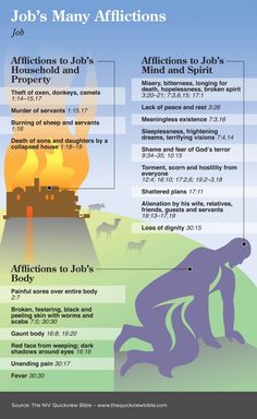 The many afflictions of Job. See more in the Illustrated Bible Study Online: www.BibleVersesAbout.Org/Bible/ Quickview Bible, Faithful Man, Quick View Bible, Bible Charts, 5 Solas, Proverbs 27