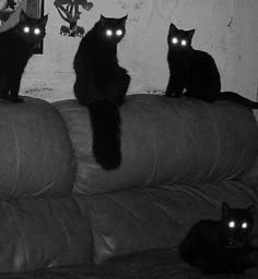 three black cats sitting on the back of a couch with their glowing eyes lit up