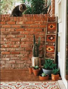 a cat sitting on top of a brick wall next to potted plants and cacti