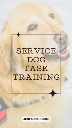 a dog with the words service dog task training on it's chest and head