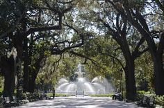 a fountain in the middle of a park with trees lining both sides and benches on either side