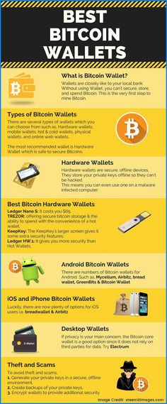 the best bitcoin wallets in the world infographical image credit card