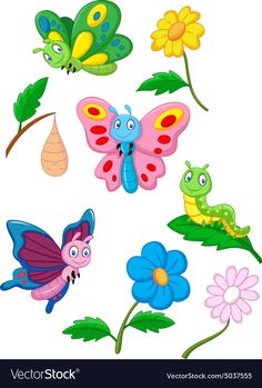 butterflies and flowers on a white background