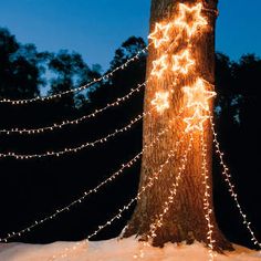 a large tree with lights on it in the snow