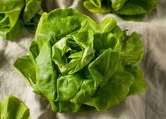 lettuce leaves are laying on a bed sheet