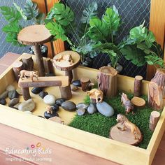 a wooden tray filled with rocks and plants