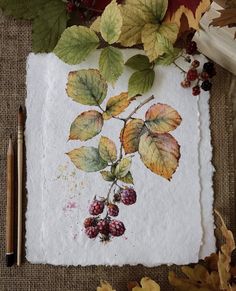 a piece of paper with leaves and berries on it, next to a pen and pencil