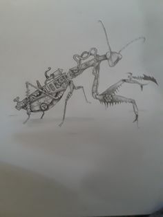 a drawing of an insect on a piece of paper with scissors attached to it's body