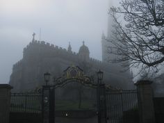 an iron gate in front of a large castle on a foggy day with trees