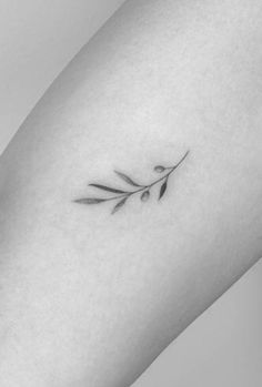 a black and white photo of a small branch tattoo on the right arm, with two leaves coming out of it