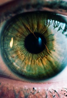 an extreme close up shot of the iris of a person's eye looking straight ahead