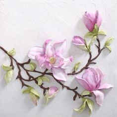 some pink flowers and green leaves on a white wall