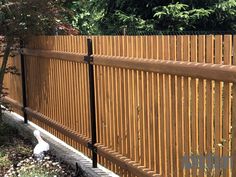 a bird is standing next to a wooden fence