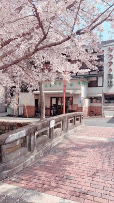 a tree with pink flowers in front of a building