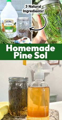 homemade pine soil in mason jars with instructions