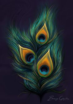 three peacock feathers on a dark background with the colors of blue, yellow and green