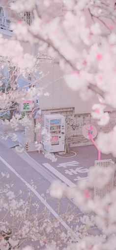 there is a tree with pink flowers in the foreground and an empty street behind it