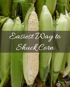 an ear of corn with the words easyest way to shuck corn