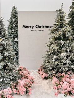 christmas trees are lined up in front of a sign that says merry christmas with pink flowers