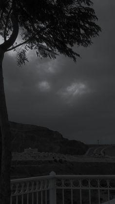 a black and white photo of a tree in front of a fence with dark clouds