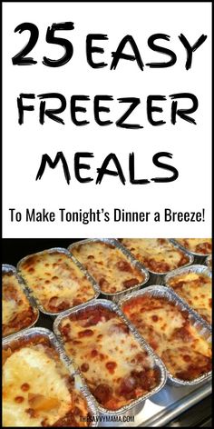 25 easy freezer meals to make tonight's dinner a breeze - click here