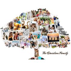 a family tree made up of photos with the words, the davidson family on it