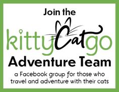 the kitty cat adventure team is looking forward to join with their cats for a facebook group