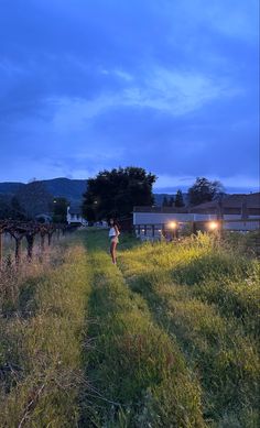 a person walking down a path in the middle of a field at night with headlights on