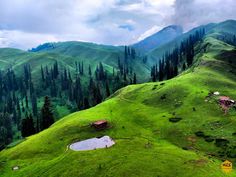 the green hills are covered in trees and grass, with a small pond at the bottom