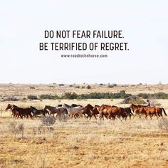 Inspirational Horse Quotes, Cowboy Quotes, Rodeo Life, Progress Not Perfection, Horse Quotes, Do Not Fear, Best Quotes, Make Money Online, Me Quotes