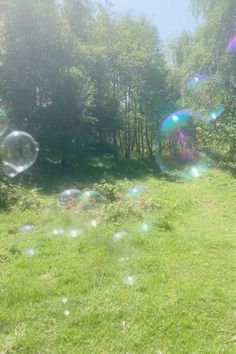 soap bubbles floating in the air on a grassy field with trees and bushes behind it