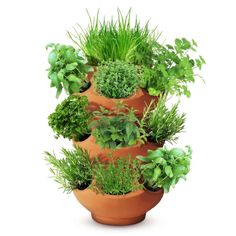 a tall planter filled with lots of green plants