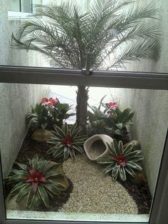 an aquarium with plants and rocks in the bottom half, on top of a window sill next to a potted palm tree