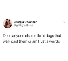 a tweet that reads,'does anyone else smile at dogs that walk past them or am i just a weirdo '