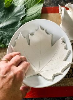 a person holding a white plate with a leaf on it