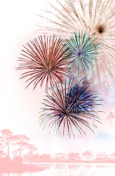 three colorful fireworks are in the sky above water