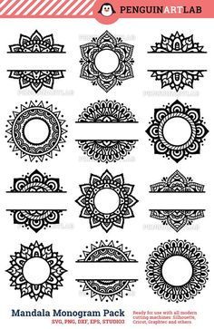 a set of ornamental designs and frames