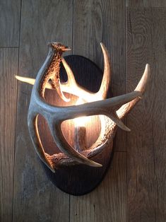 a deer antler lamp on top of a wooden table next to a wood floor