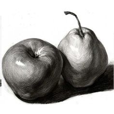 pencil drawing of two apples sitting side by side