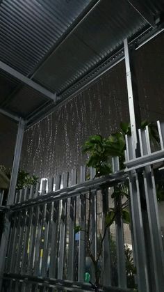 rain coming down from the roof of a building in front of a metal fence and potted plant