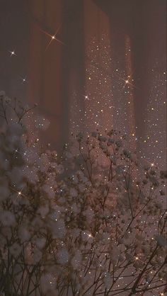 white flowers in the foreground with buildings in the background and stars on the sky