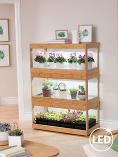 a wooden shelf filled with potted plants on top of a hard wood floor