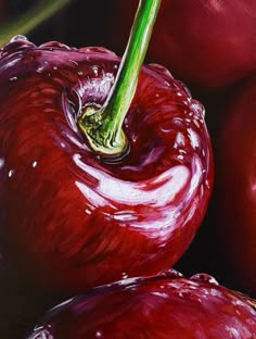 Art Realism Painting, Fruit To Paint, Cherry Painting, Hyperrealism Art, Fruits Painting, Fruit Paintings, Cherry Drawing, Cherries Painting, Fruit Artwork