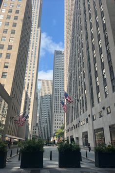 an empty city street with tall buildings and american flags in the foreground, on a sunny day