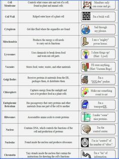 two different types of cell phones are shown in this diagram, which shows the differences between cellular