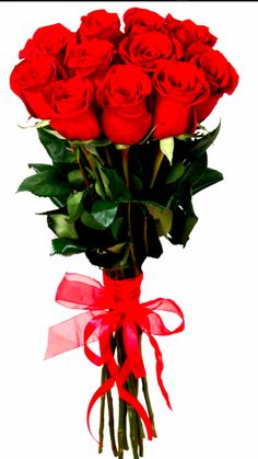 a bouquet of red roses with a ribbon tied around it