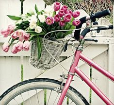 a pink bicycle with flowers in the basket is parked next to a white picket fence